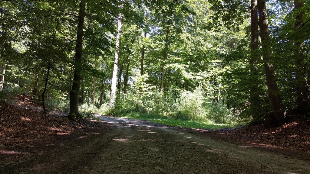 Domki U Eryka Brzyno Exterior foto